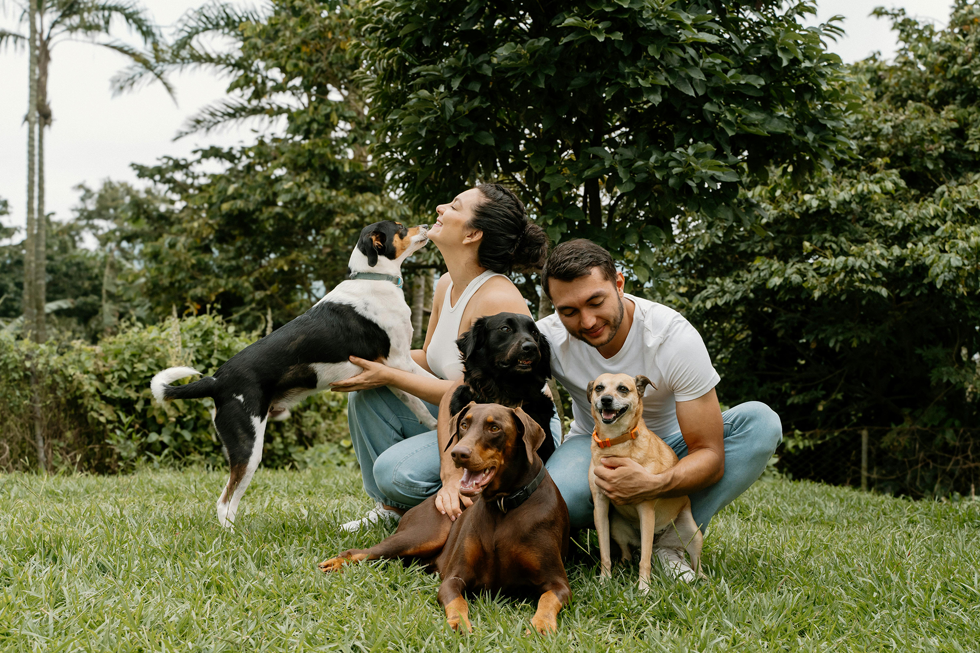happy dogs with happy people